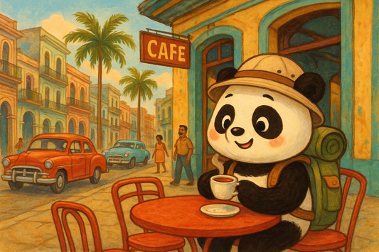 Havana: A City Steeped in Coffee Tradition