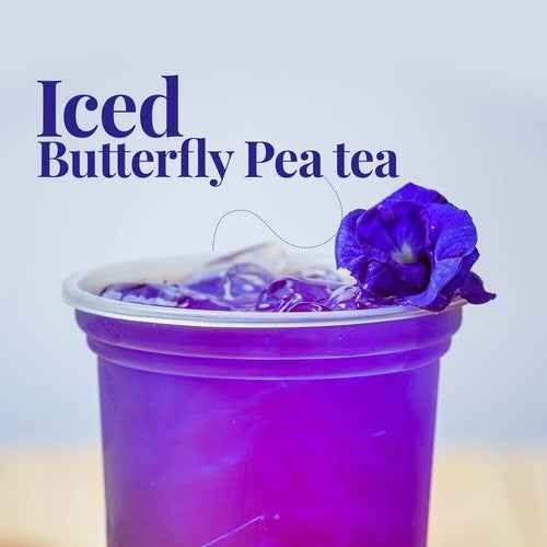 Iced butterfly pea flower tea caffeine free in a clear cup garnished with a purple butterfly pea flower