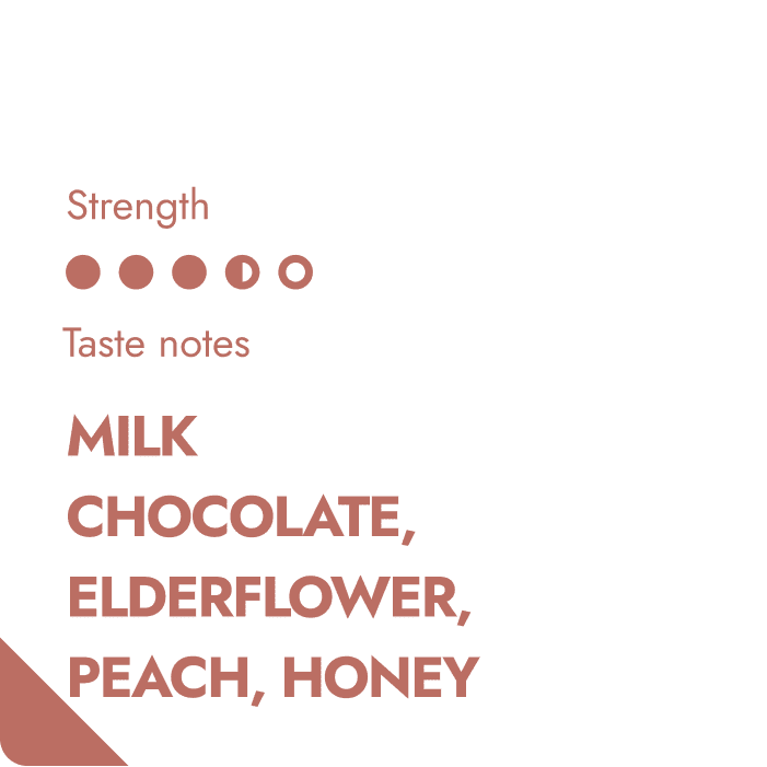 Handcrafted coffee beans Guatemala by The Brew Company with taste notes of milk chocolate elderflower peach and honey