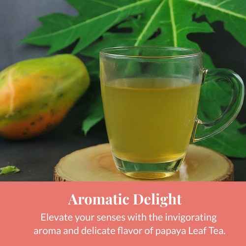 Clear glass cup of organic papaya leaf tea with fresh papaya and green leaves in background