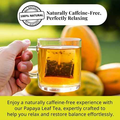Hand holding a glass cup of organic papaya leaf tea with papayas in the background and relaxing text