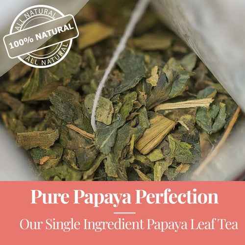 Organic papaya leaf tea loose leaves close-up with 100 percent natural label by Tea and coffee of the world