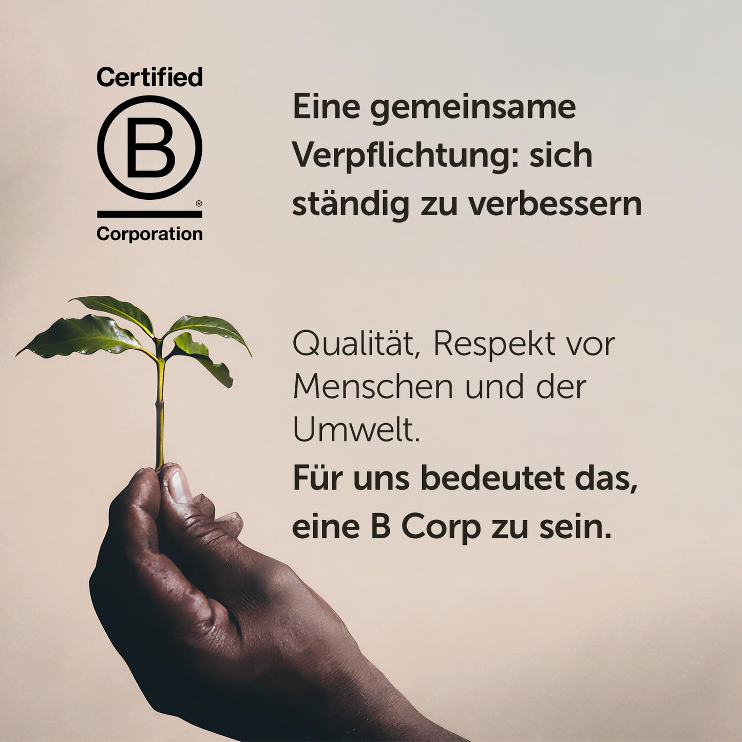 Hand holding a green coffee plant sprout symbolising sustainability with Illy ground espresso coffee