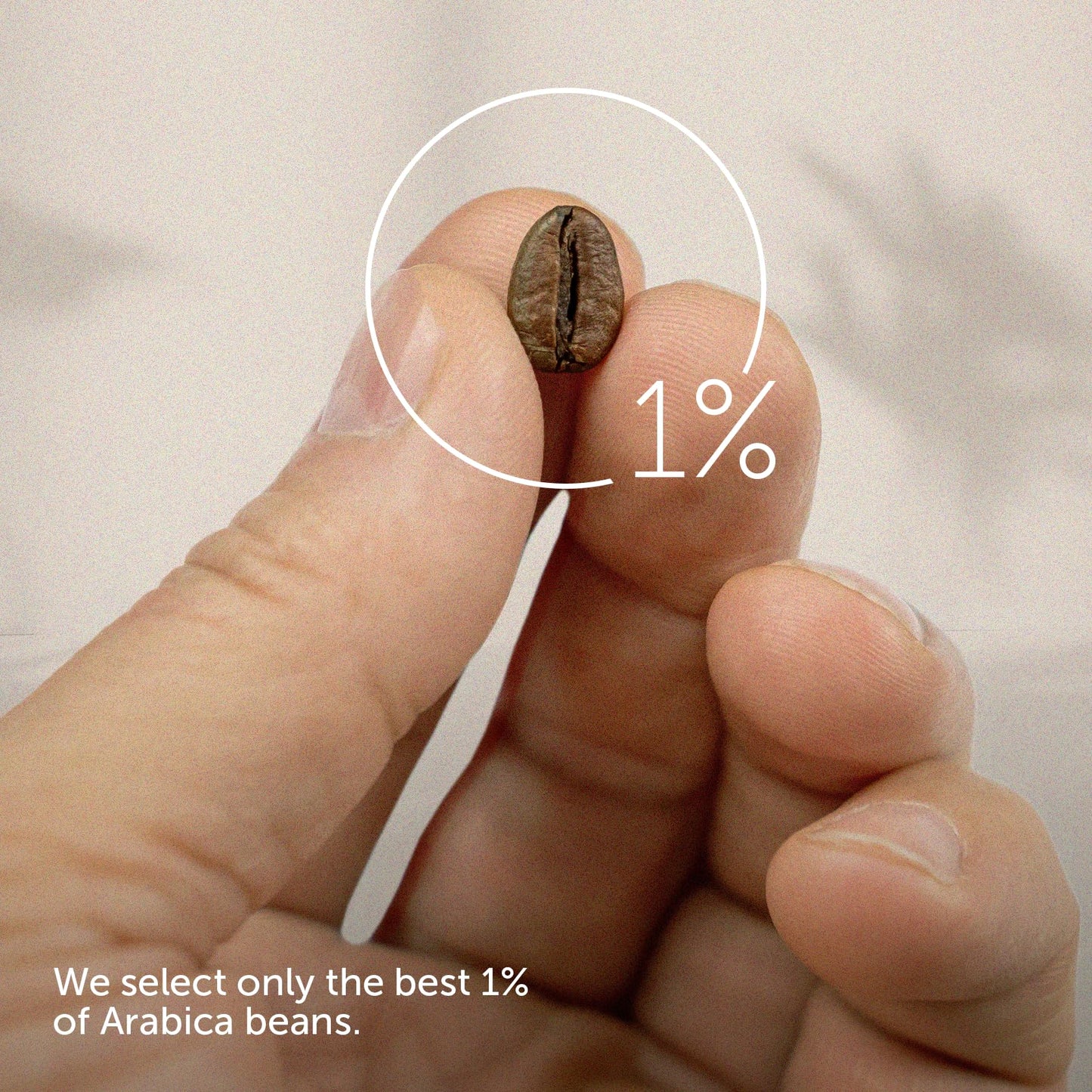 Close-up of a hand holding a single coffee bean showcasing the premium quality for Illy ground espresso coffee