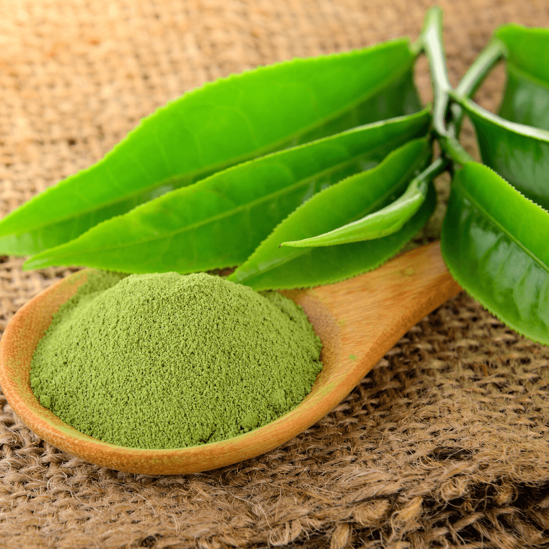 Organic matcha powder 40g on wooden spoon with fresh green tea leaves on burlap background