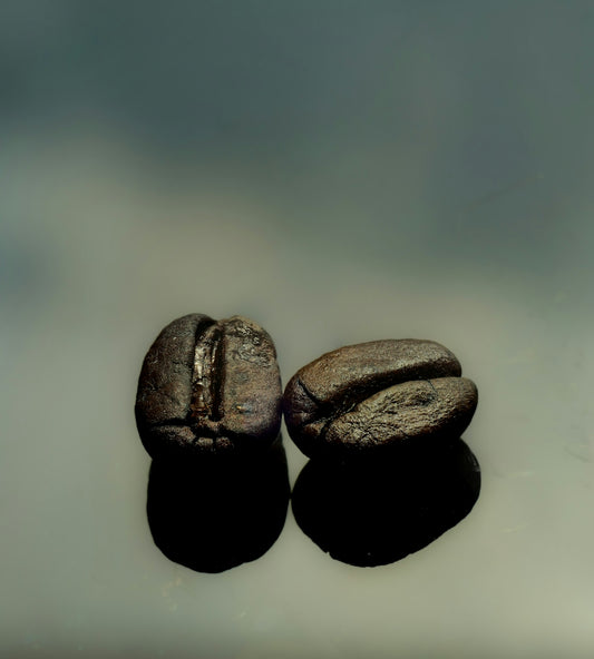Two coffee beans are displayed on a gray surface.