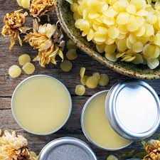 Plant-based skin balm collection with natural ingredients and floral elements in tins on wooden surface