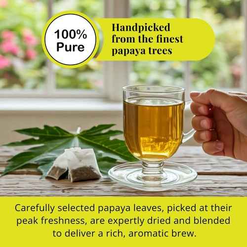 Organic papaya leaf tea from Tea and Coffee of the World with a glass cup of golden herbal tea