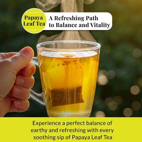 Hand holding clear glass cup of organic papaya leaf tea with steam and tea bag steeping